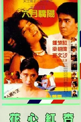 91在线精品你懂的免费